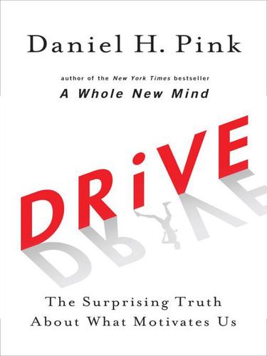 Buchcover: Drive: Was Sie wirklich motiviert